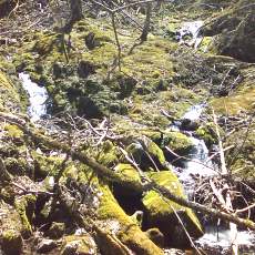 160505_p09.jpg