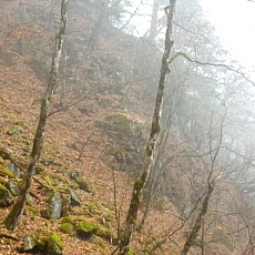161123_p04.jpg