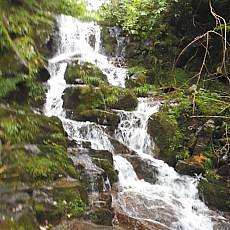 170903_p10.jpg