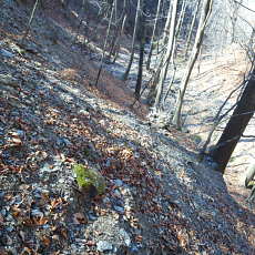 190302_p04.jpg