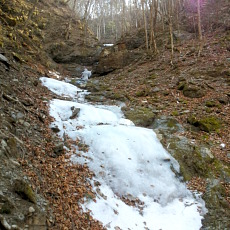190302_p05.jpg