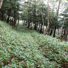 190921_p05.jpg