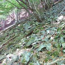 200605_p21.jpg