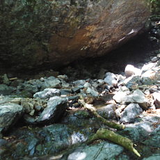 200605_p22.jpg