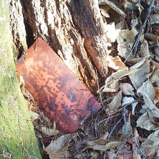201117_p25.jpg