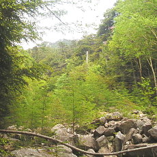 210612_p02.jpg