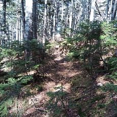 221028_p22.jpg