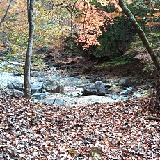 231030_p36.jpg