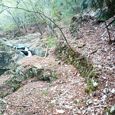 230502_p38.jpg