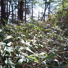 240612_p44.jpg