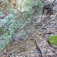 211020_p12.jpg