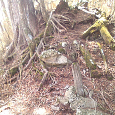 120429_p03.jpg