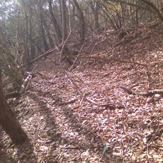 130414_p01.jpg