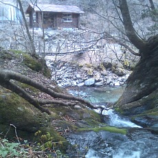 130429_n02.jpg
