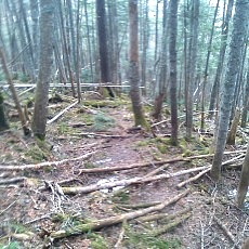 130606_p22.jpg