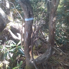 140504_p17.jpg