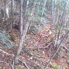 141011_p24.jpg