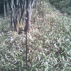 150429_p01.jpg