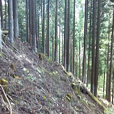 150920-02_p06.jpg