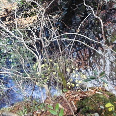 161112_p18.jpg