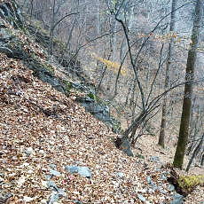 161123_p08.jpg