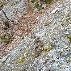 170429_p08.jpg