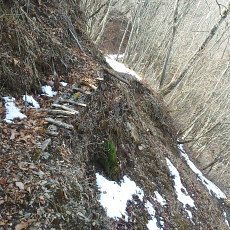 180329_p27.jpg