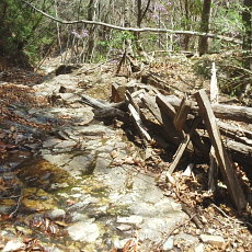 180412_p26.jpg
