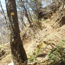 190420_p13.jpg