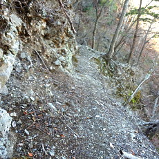 190505_p06.jpg