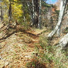 191104_p06.jpg