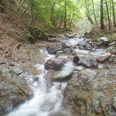 200621_p13.jpg