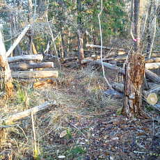 201206_p08.jpg