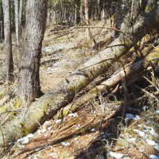 210315_p25.jpg
