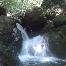 110624_n02.jpg