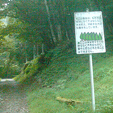 120916_p26.jpg