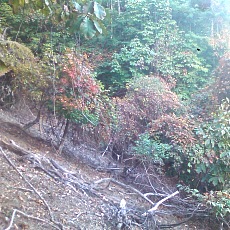 141011_p37.jpg