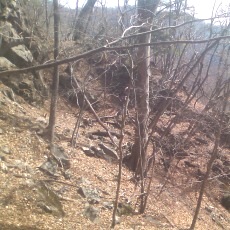150228_p04.jpg