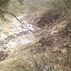 150429_p14.jpg