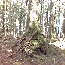 150628_p02.jpg