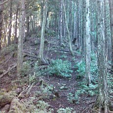 150919_p03.jpg