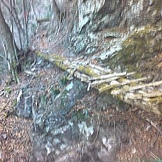 160109_p06.jpg