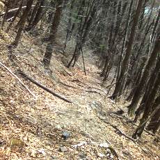 160419-02_p04.jpg