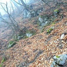 161123_p03.jpg