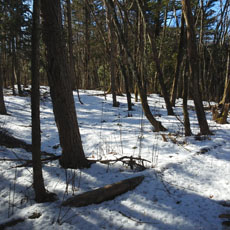 180303_p02.jpg