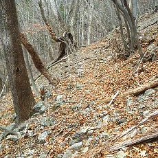 190323_p17.jpg