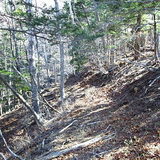 190420_p12.jpg