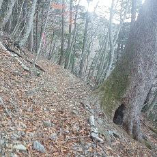 191129_p02.jpg