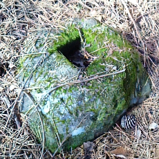 201206_p50.jpg