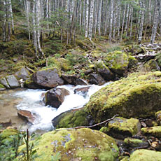210916_p23.jpg